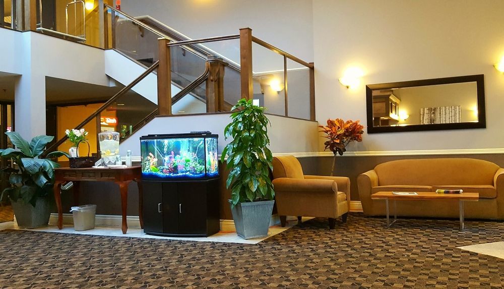 Quality Inn Kamloops Eksteriør billede